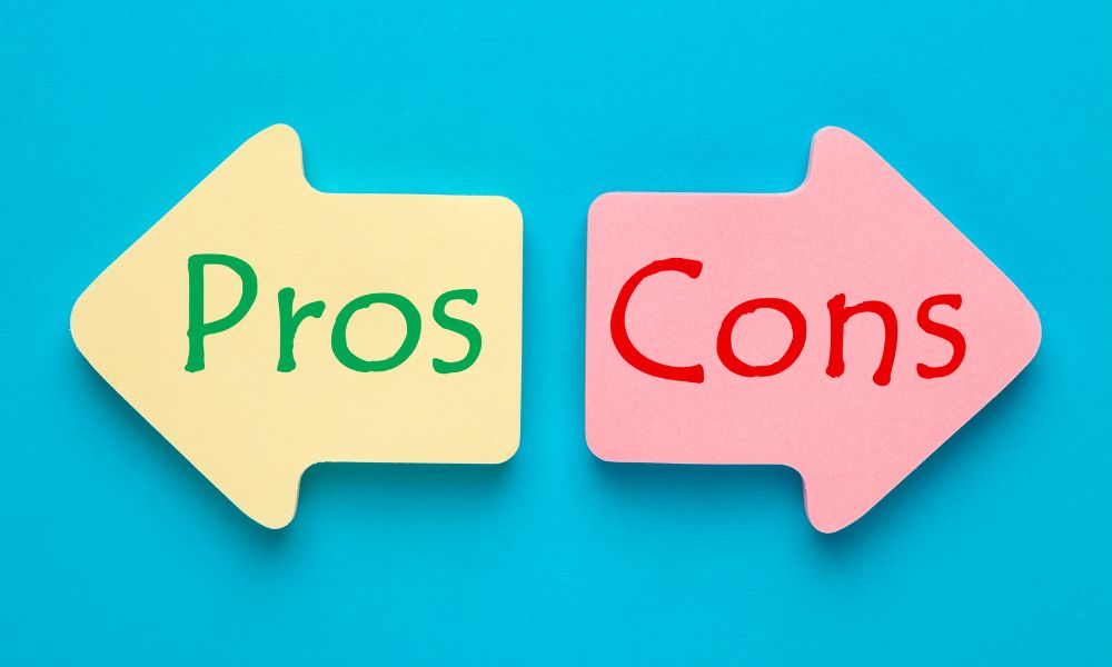 DIY vs. Professional Repair Pros and Cons